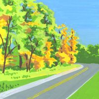 Everyday Landscapes: Road