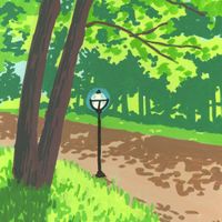 Everyday Landscapes: Path