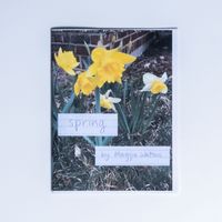 spring