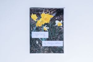 spring