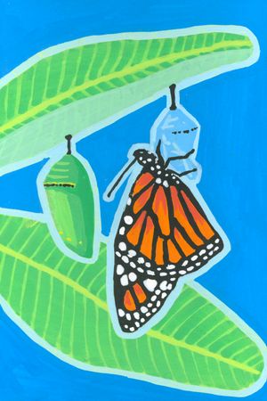 Butterfly Garden: Monarch &amp; Milkweed