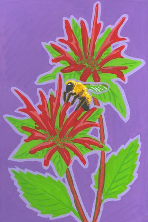 Butterfly Garden: Bee Balm &amp; Bee