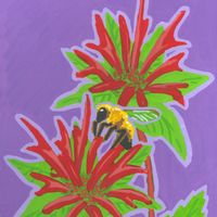 Butterfly Garden: Bee Balm & Bee